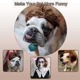 Peluca de perro para mascotas, disfraz de gato, accesorios sintéticos, gorros para perros pequeños, para Halloween, Nochebuena, festival, decoración de fiesta, juguete (A)