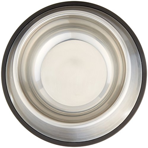 Tazón para perros de acero inoxidable AmazonBasics