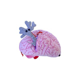 Peluches de cerebro con neuronas de felpa