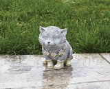 Roman 7.75 de alto día lluvioso Pudgy gato
