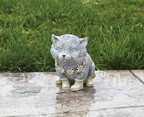 Roman 7.75 de alto día lluvioso Pudgy gato