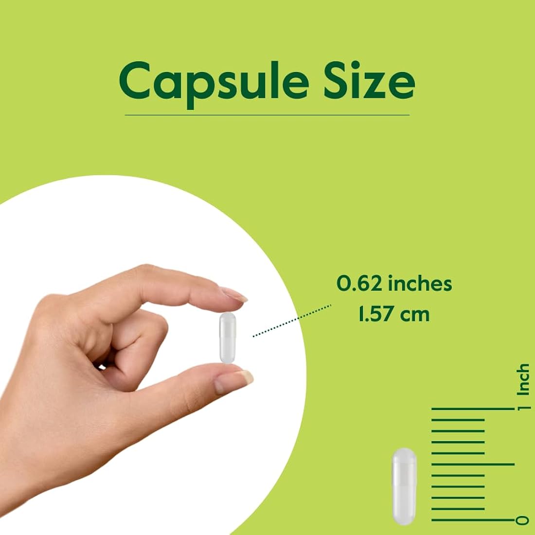 Suplemento Extracto de corteza de pino Pycnogenol 100 mg