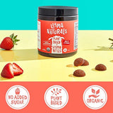 Llama Naturals Bites vitamínicos a base de plantas (adultos); orgánico; sin azúcar añadido, edulcorantes o sintéticos; gominola multivitamínica vegana (D3, B12, folato y más; 90 mordeduras de fruta real (30 días), 1