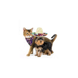 Disfraces de Sombrero para perro talla S