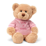 Oso de peluche con playera de Es una niña (It's a Girl)