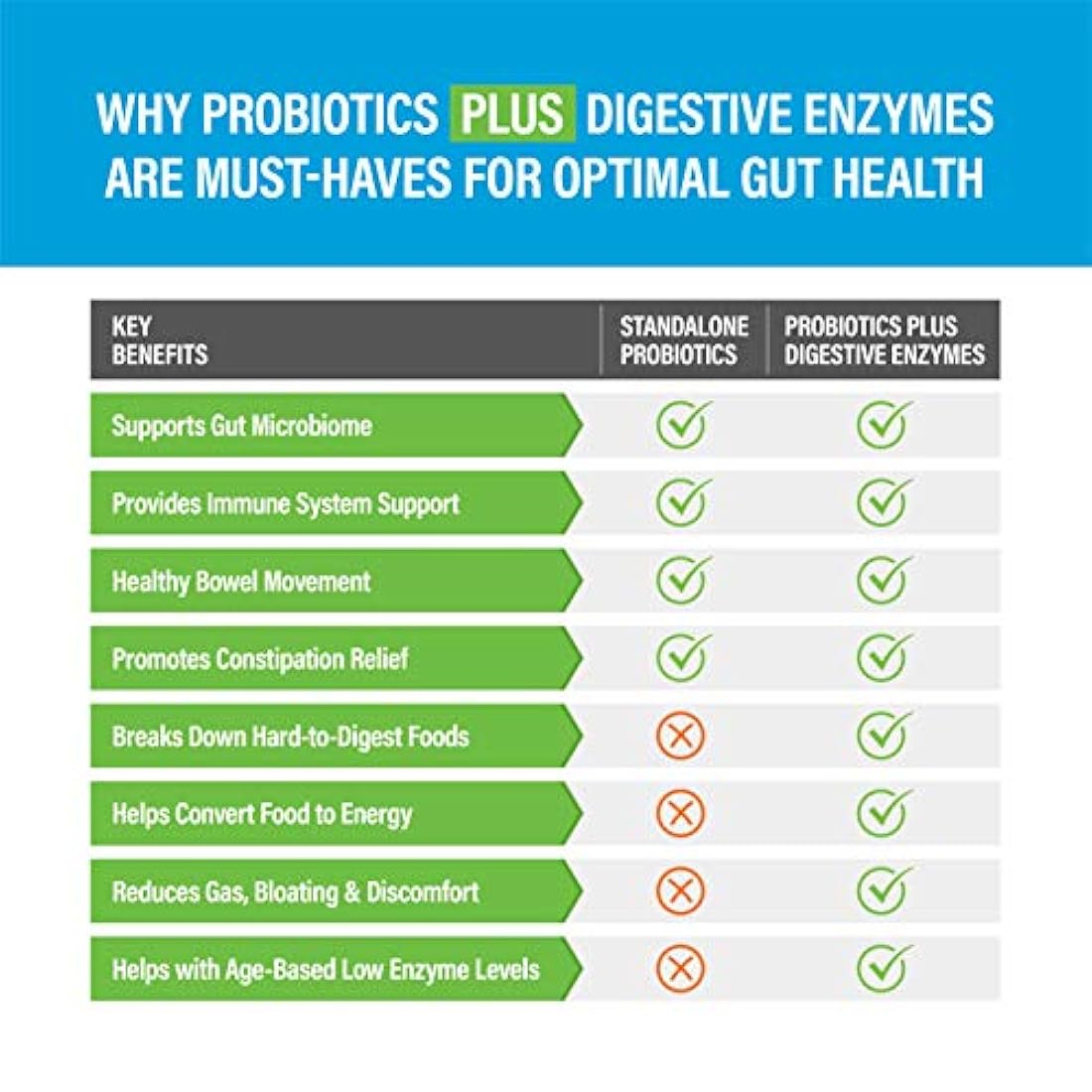 Enzimas digestivas más prebióticos y probióticos