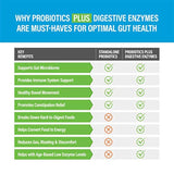Enzimas digestivas más prebióticos y probióticos