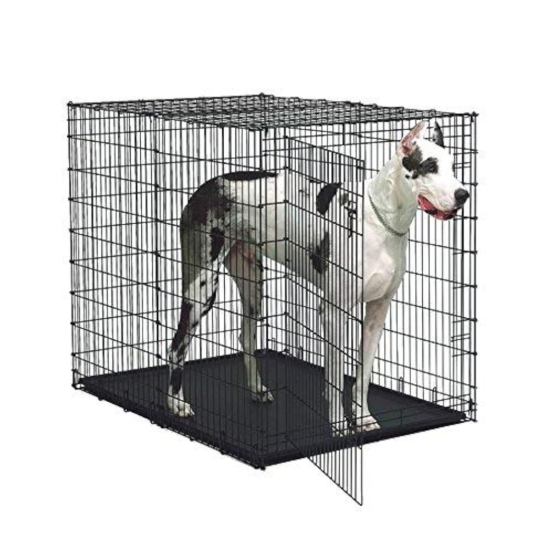 Caja para mascotas