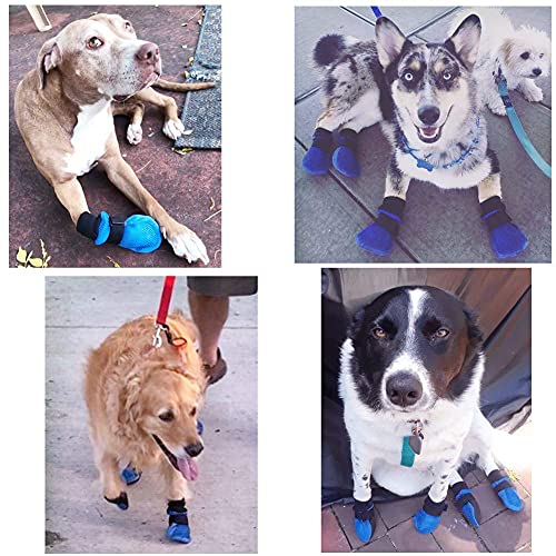 Botas transpirables, doble malla, suave suela, protección para el verano, para perro, de HiPaw, Azul