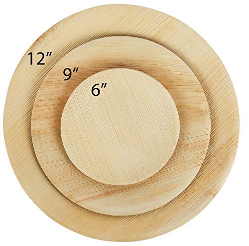 Platos biodegradables (Paquete de 25)