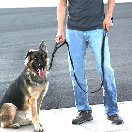 Correa para perros Reflexivo (negro, 6 pies)
