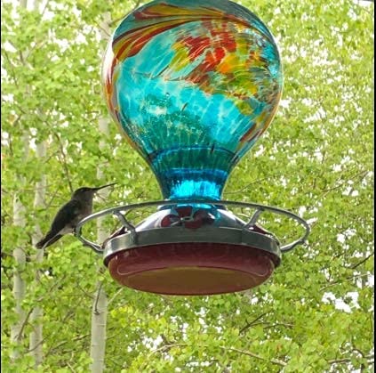 bebedero para colibrí, huevo azul con flores