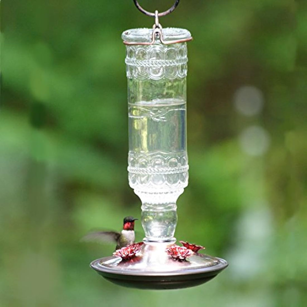 Alimentador antiguo de colibrí de vidrio de 10 onzas