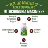 suplemento de soporte mitocondrial con aceite MCT