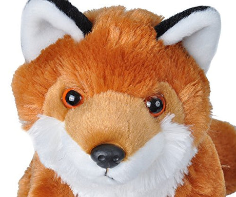 Peluche  Regalos para niños, Cuddlekins 12