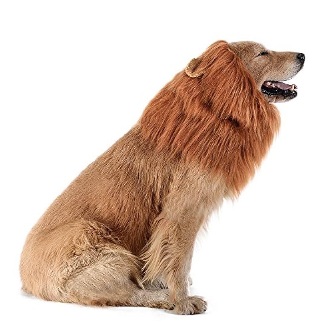 Peluca de melena de león para perro