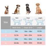 Candofly Poncho con capucha para perro impermeable ajustable