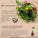 Best botánicos Uva Ursi Leaf Powder 16 oz.