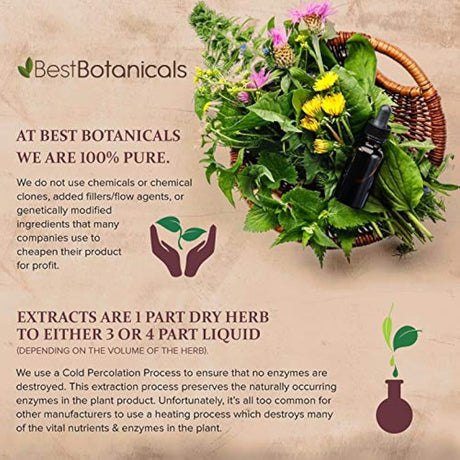 Best botánicos Uva Ursi Leaf Powder 16 oz.