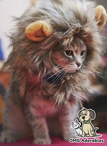 Disfraz para mascota
