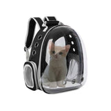 Mochila transparente para mascotas aprobada por aerolíneas