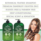 Champú y acondicionador de menta de árbol de té