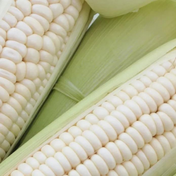 Semillas de maíz dulce - Heirloom, Non-GMO, 30 piezas
