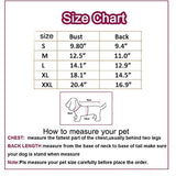 Mono de mezclilla para perro disfraz de gato y mascota
