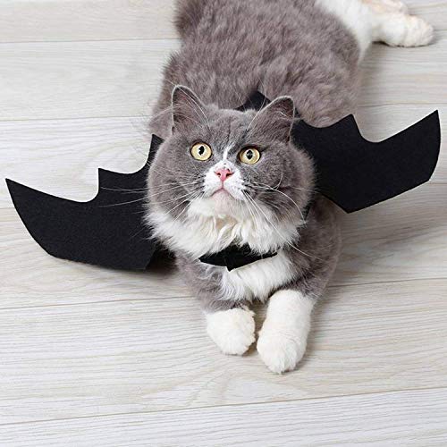 Disfraz Rypet de murciélago, disfraz de Halloween para mascotas, alas de murciélago para perro