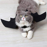 Disfraz Rypet de murciélago, disfraz de Halloween para mascotas, alas de murciélago para perro