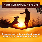 Comida húmeda para perros fácil de digerir, 13.2oz 12 U