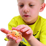 caja con figuras de insectos y animales, (10 piezas),grande