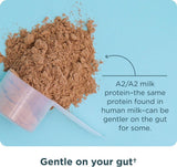 Proteína de suero de leche orgánica, Ancient Nutrition, 23g, 20 serv.