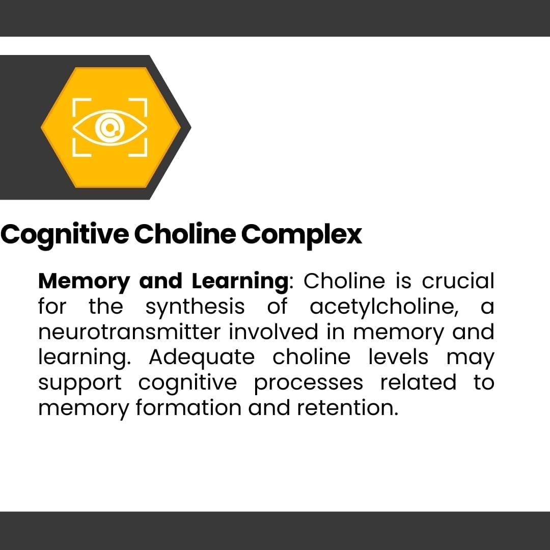 Suplemento Nootrópico Cognisync, Mejora Cognitiva, Apoyo Memoria