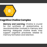 Suplemento Nootrópico Cognisync, Mejora Cognitiva, Apoyo Memoria