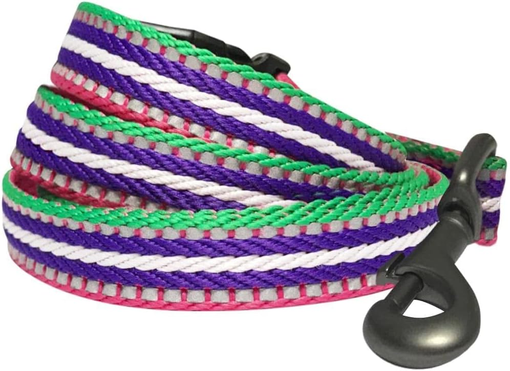 Correa Reflectante para Perros con Mango Suave - Talla Mediana