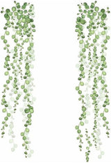 Decoraciones de Pared Succulentas RoomMates RMK3903SCS