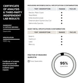 Toniiq Cápsulas de Quercetina Alta Pureza 95%+ 1000mg 120u