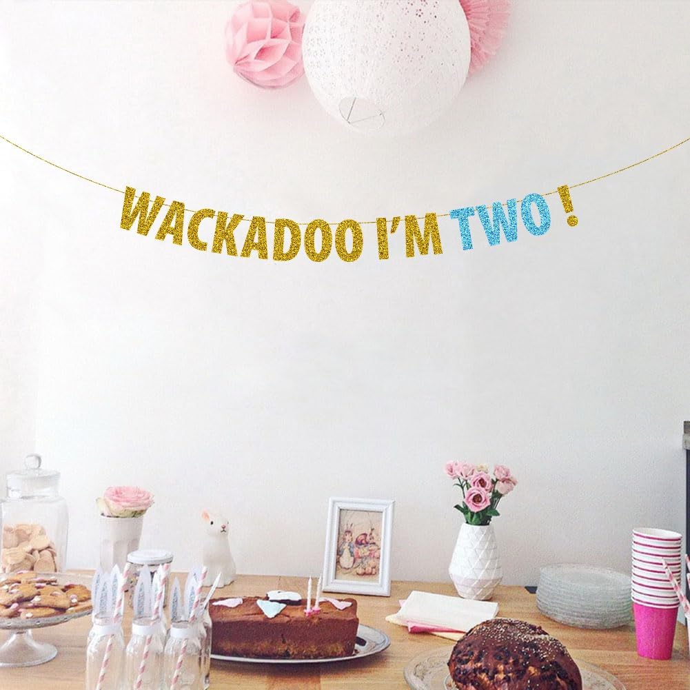 Decoración Fiesta 2do Cumpleaños Niño, Cheers to 2 Years