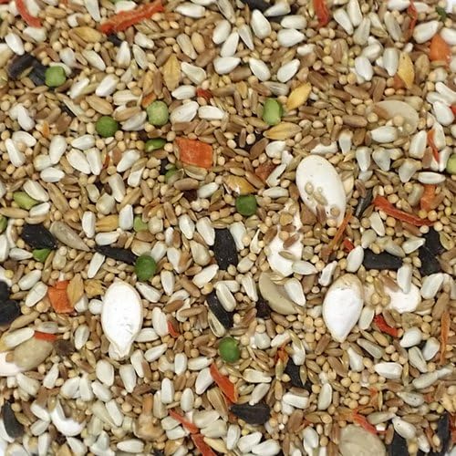 Alimento para pájaros bolsa de 4 libras Sweet Harvest