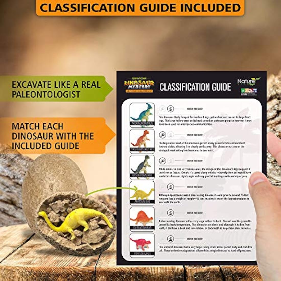 Nature Gear Dino - Juego de 12 huevos para buceo
