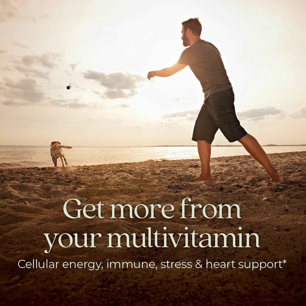 Multivitamínico para hombres New Chapter, 72 ct, orgánico, sin GMO