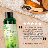 Shampoos y acondicionadores para el cabello Champú 8 onzas