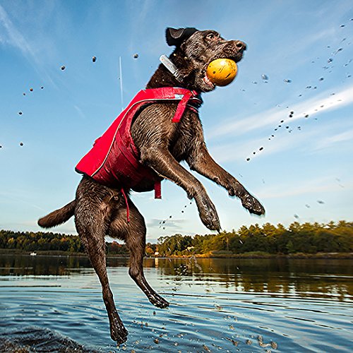 Chaleco salvavidas para perros