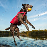 Chaleco salvavidas para perros