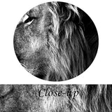 Kreative Arts - Cuadro de 3 paneles, diseño de león,