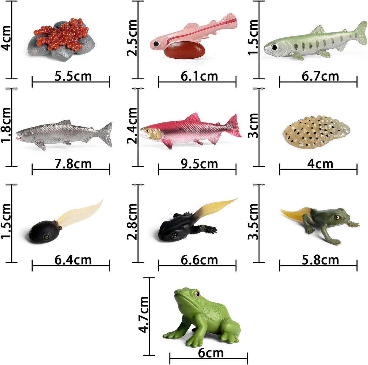 Figuritas Ciclo de Vida Animal SIENON - Rana y Salmón 10pcs