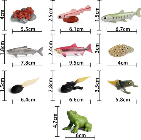 Figuritas Ciclo de Vida Animal SIENON - Rana y Salmón 10pcs