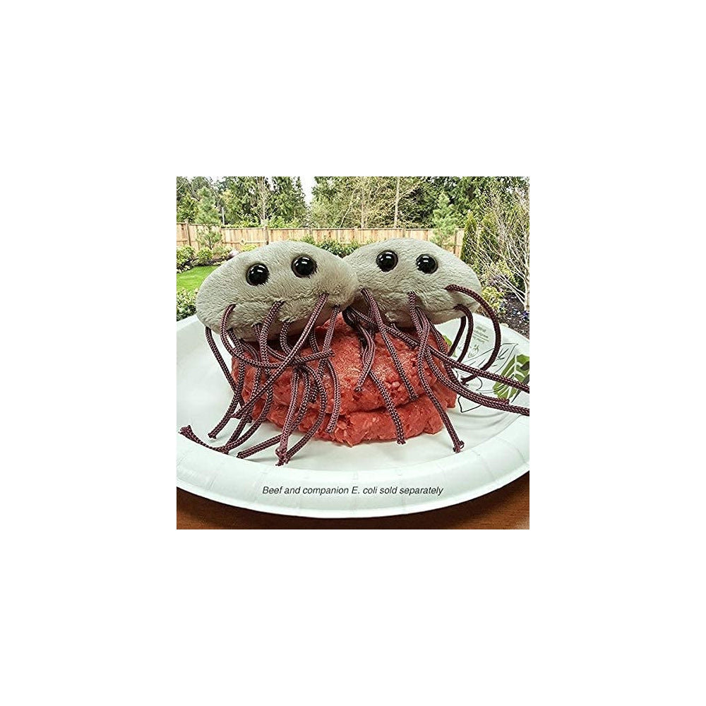 Peluche  de tejido suave en forma escherichia Coli bacteria