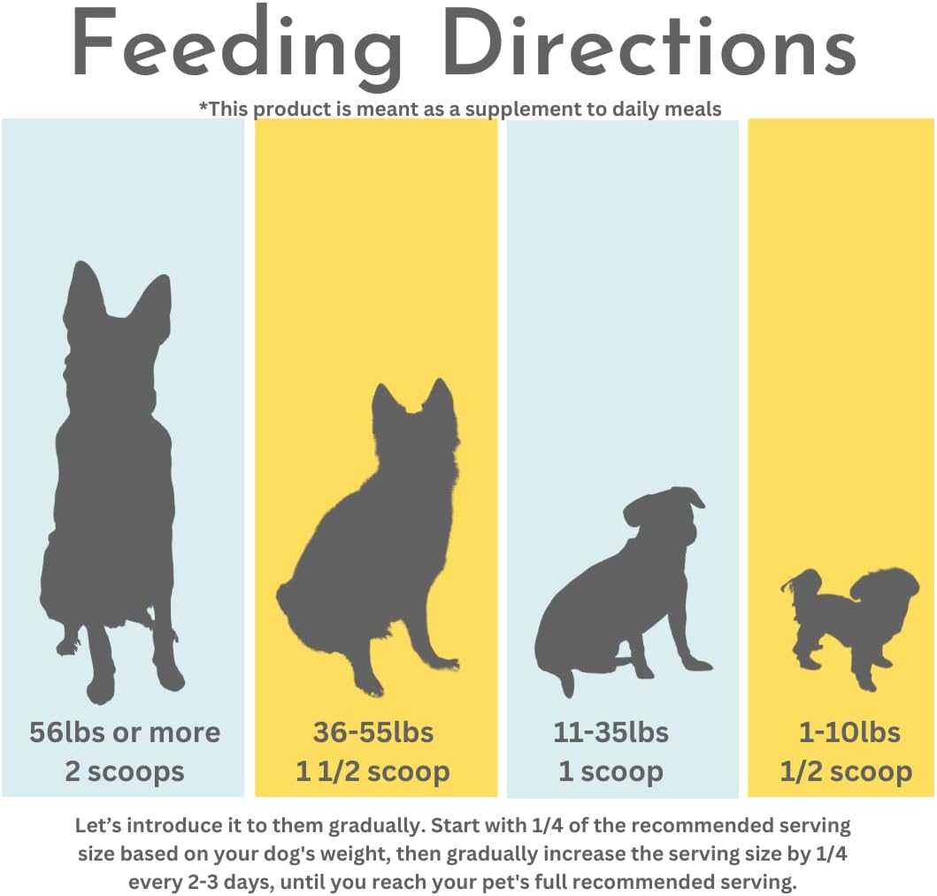 Probioticos y Enzimas Digestivas para Perros - Soporte Digestivo